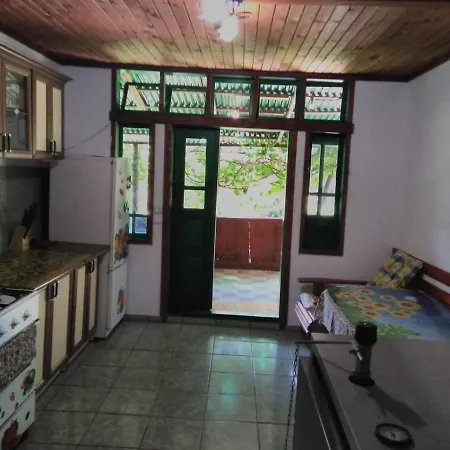 Casa Paltin
